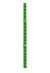 bamboo